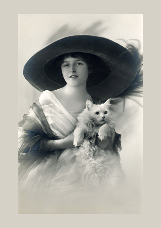 Miss Wally coiffée d'un large chapeau tenant un chat blanc à longs poils dans ses bras. Cette carte postale photographique ancienne célèbre la complicité entre les élégantes et leurs animaux de compagnie.